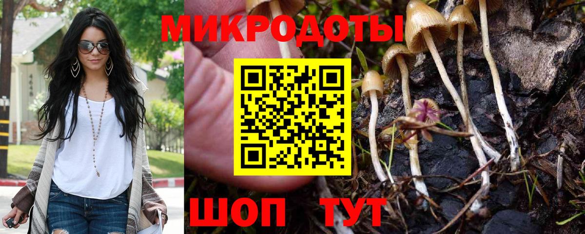 Буйнакск  купить   Псилоцибиновые грибы ЛСД  Вход с VPN  Галлюциногенные грибы Psilocybine cubensis 
