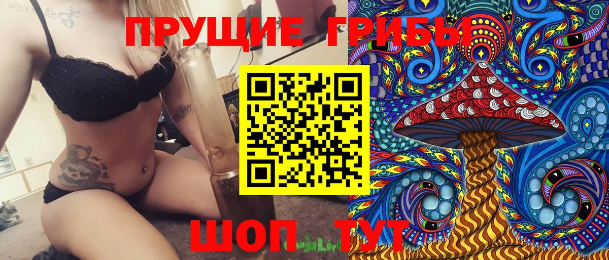 Псилоцибиновые грибы Psilocybine cubensis Буйнакск